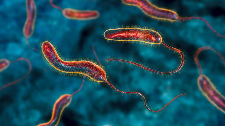 Cholera: কলেরা আক্রান্ত একই পরিবারের দু’জন! আতঙ্ক এলাকায়